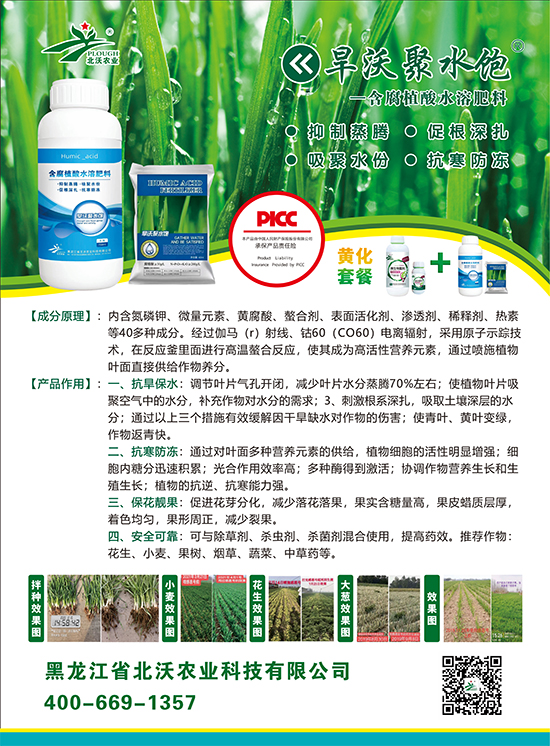 鏈爣棰?1.jpg 鏈爣棰?1.jpg