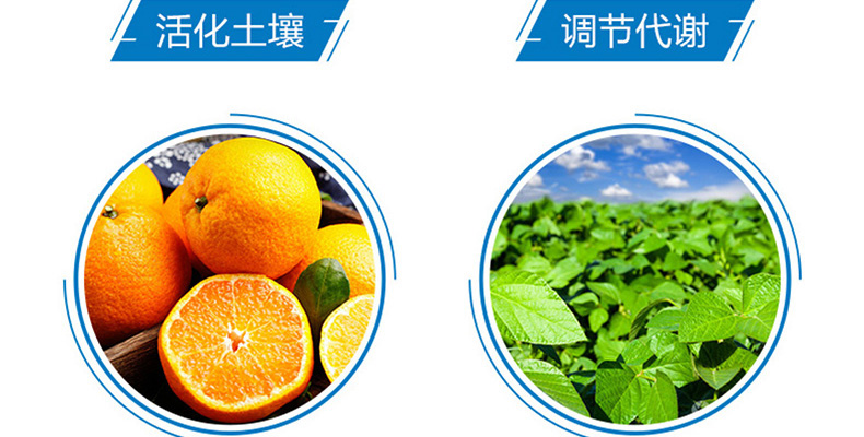 天润三禾--新排_02_06.jpg