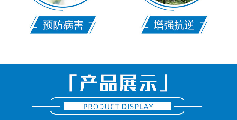 天润三禾--新排_02_08.jpg