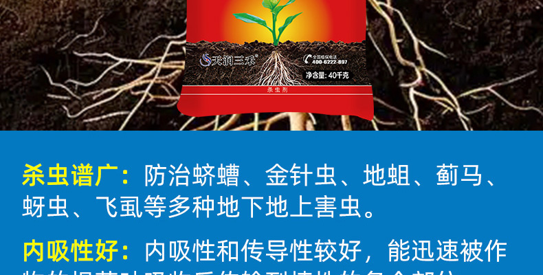 天润三禾--新排_02_21.jpg