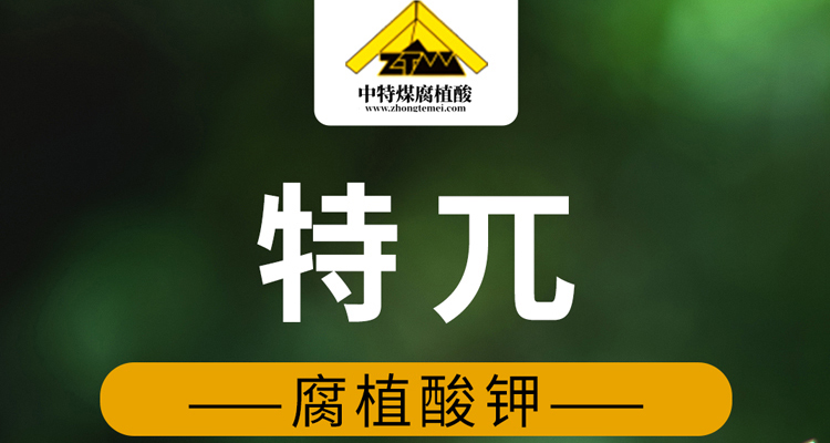 新疆中特�?电子画册_02_05.jpg