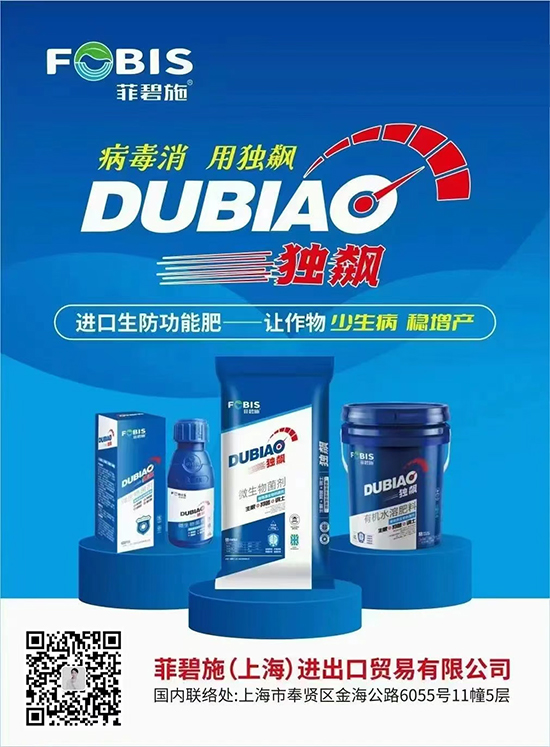 10.jpg 10.jpg