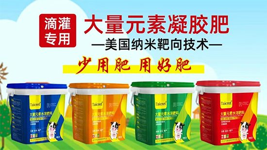 山东九肽生物科技集团有限公司7.jpg