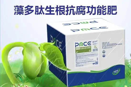 鏅編鏂繘鍑哄彛璐告槗锛堟綅鍧婏級鏈夐檺鍏徃4.jpg 鏅編鏂繘鍑哄彛璐告槗锛堟綅鍧婏級鏈夐檺鍏徃4.jpg