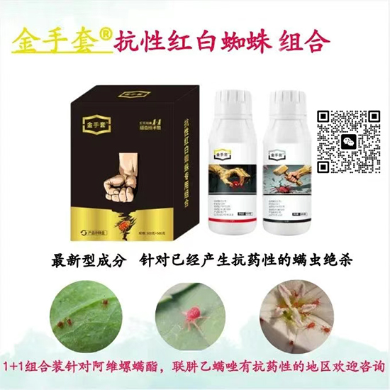 河北德裕祥生物化工有限公�?.jpg