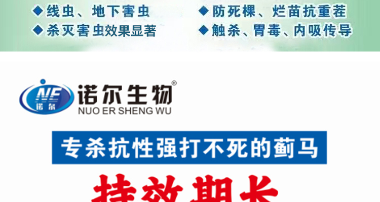 聊城诺尔生物科技有限公司_02_07.jpg