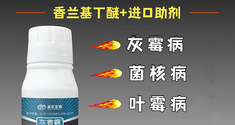 聊城诺尔生物科技有限公司_02_10.jpg