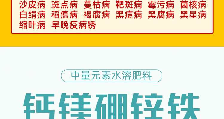 河南沃易施生物科技有限公司-电子画册_02_09.jpg