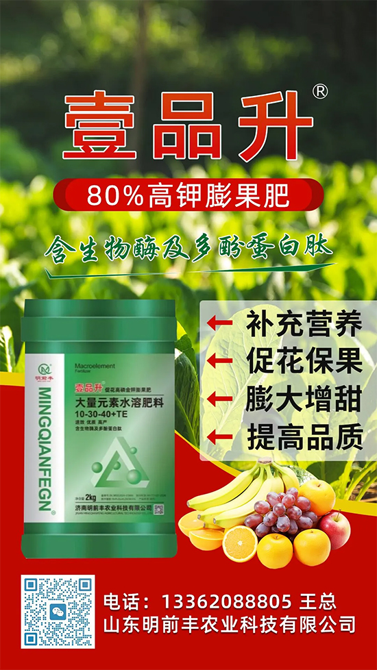 山东明前丰农业科技有限公司5.jpg