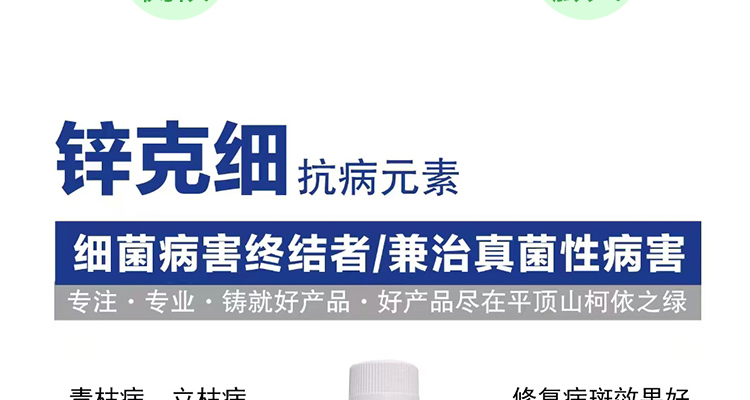 平顶山柯依之绿农作物保护有限公司_02_06.jpg
