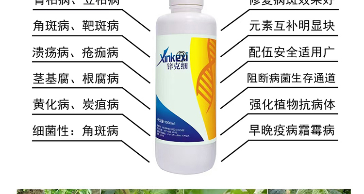 平顶山柯依之绿农作物保护有限公司_02_07.jpg