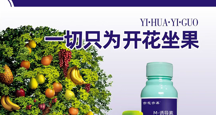 平顶山柯依之绿农作物保护有限公司_02_09.jpg