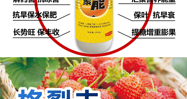 平顶山柯依之绿农作物保护有限公司_02_12.jpg