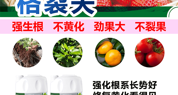 平顶山柯依之绿农作物保护有限公司_02_13.jpg