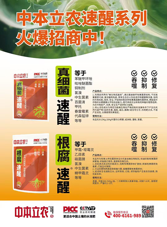 8bde20ff3585f46c7d8cba5cda48c468.jpg