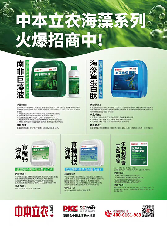c166ecfac6a3c1fd010cf95f2ec3b7da.jpg