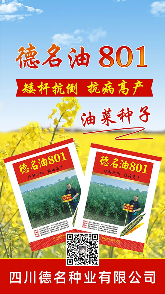 鍥涘窛寰峰悕绉嶄笟鏈夐檺鍏徃2.png 鍥涘窛寰峰悕绉嶄笟鏈夐檺鍏徃2.png