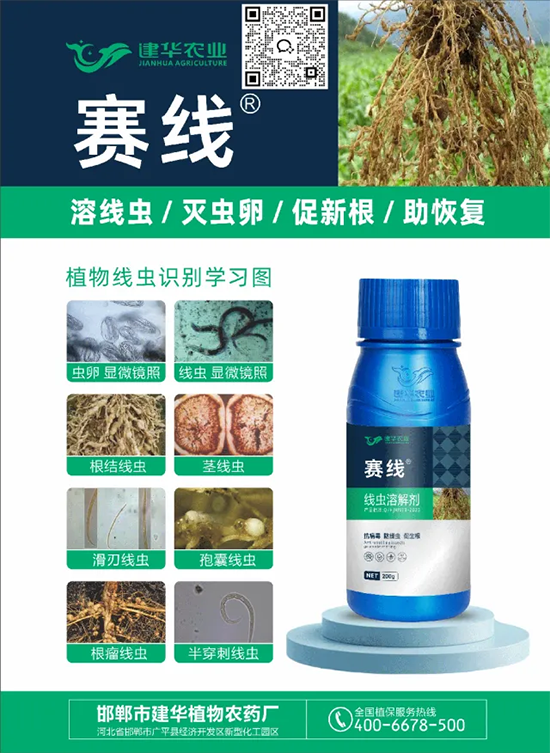 邯郸市建华植物农药厂2.png
