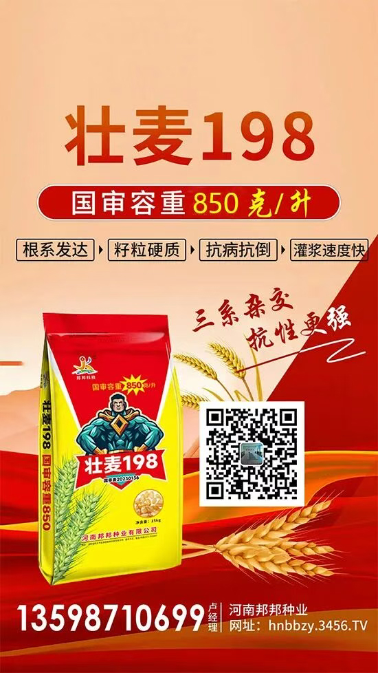河南邦邦种业有限公司6.jpg