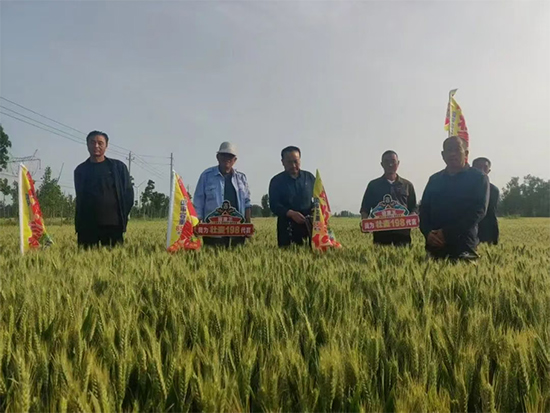 河南邦邦种业有限公司5.jpg