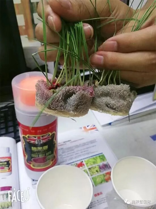 河南施莱登生物技术有限公�?.jpg