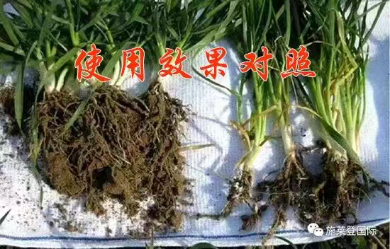 河南施莱登生物技术有限公�?.jpg