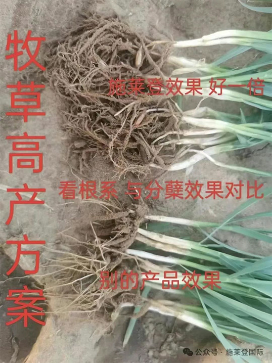 河南施莱登生物技术有限公�?.jpg