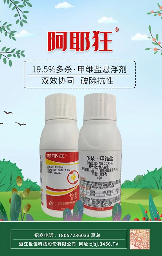 世佳1.jpg