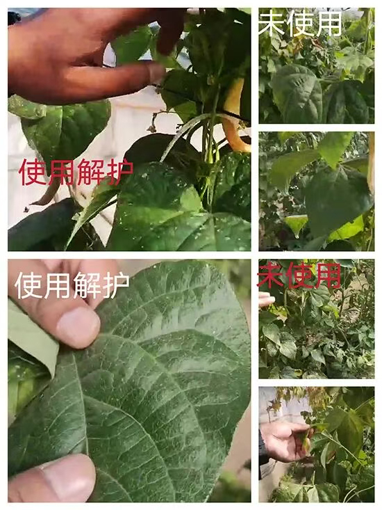 娴庡崡澶╅洦鐧剧妞嶇墿钀ュ吇鎶�鏈湁闄愬叕鍙?.jpg 娴庡崡澶╅洦鐧剧妞嶇墿钀ュ吇鎶�鏈湁闄愬叕鍙?.jpg