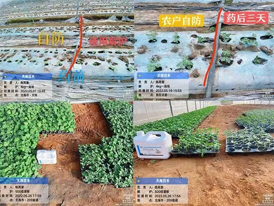 娴庡崡澶╅洦鐧剧妞嶇墿钀ュ吇鎶�鏈湁闄愬叕鍙?.jpg 娴庡崡澶╅洦鐧剧妞嶇墿钀ュ吇鎶�鏈湁闄愬叕鍙?.jpg