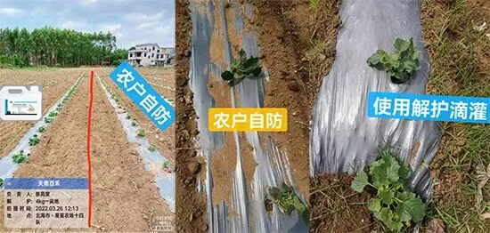 娴庡崡澶╅洦鐧剧妞嶇墿钀ュ吇鎶�鏈湁闄愬叕鍙?.jpg 娴庡崡澶╅洦鐧剧妞嶇墿钀ュ吇鎶�鏈湁闄愬叕鍙?.jpg