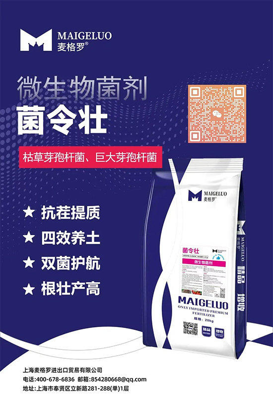上海麦格罗进出口贸易有限公司3.jpg