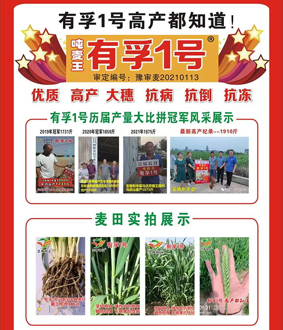 微信图片_20250925154633_116_561.jpg