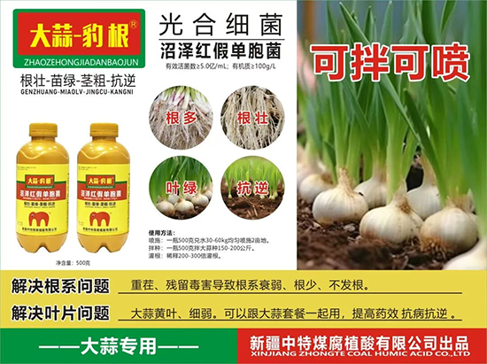 新疆中特煤腐植酸有限公司5.jpg