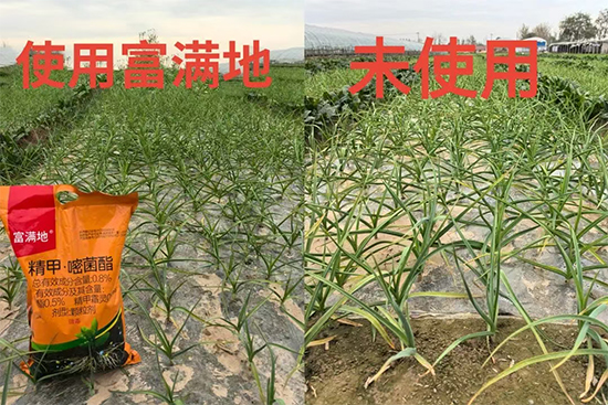 济南中基作物科学有限公司11.jpg
