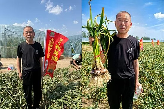 济南中基作物科学有限公司9.jpg