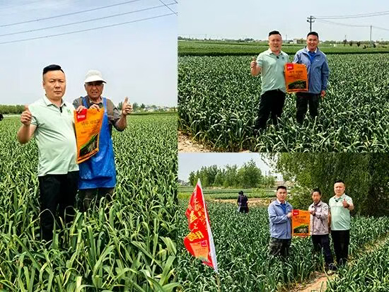 济南中基作物科学有限公司8.jpg