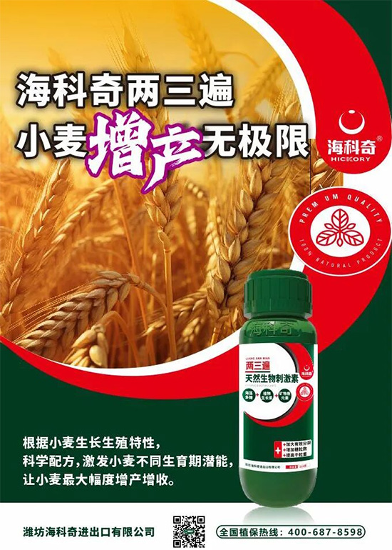 潍坊海科奇进出口有限公司2.jpg