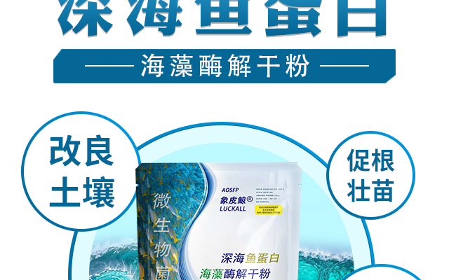 杜斯农（青岛）海�?恢复的_04.jpg