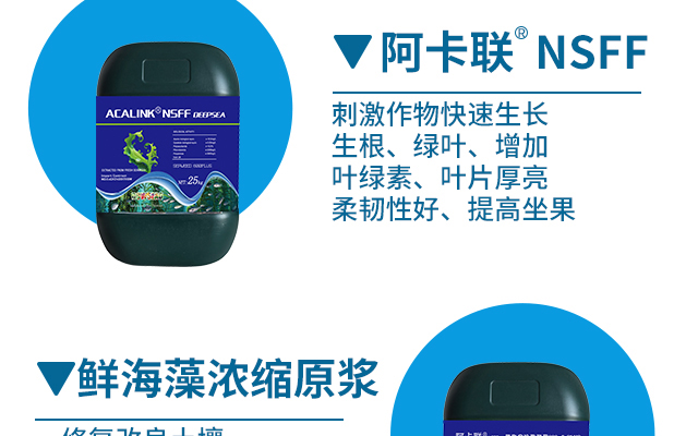 杜斯农（青岛）海�?恢复的_06.jpg