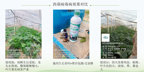 灞变笢涔濊偨鐢熺墿绉戞妧闆嗗洟鏈夐檺鍏徃4.jpg 灞变笢涔濊偨鐢熺墿绉戞妧闆嗗洟鏈夐檺鍏徃4.jpg