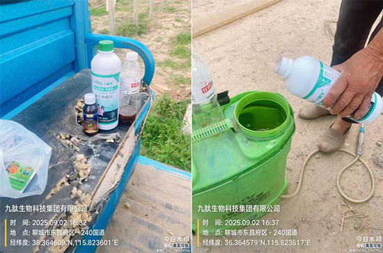 灞变笢涔濊偨鐢熺墿绉戞妧闆嗗洟鏈夐檺鍏徃3.jpg 灞变笢涔濊偨鐢熺墿绉戞妧闆嗗洟鏈夐檺鍏徃3.jpg