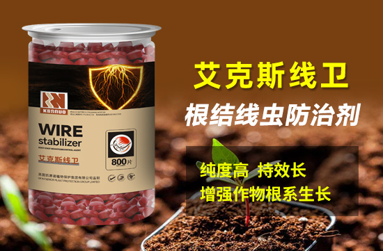 10.jpg 10.jpg