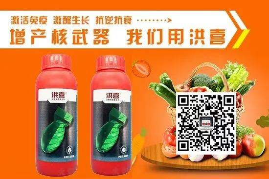 河南艾利农农业科技有限公司6.jpg