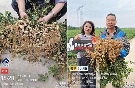 河南艾利农农业科技有限公司5.jpg