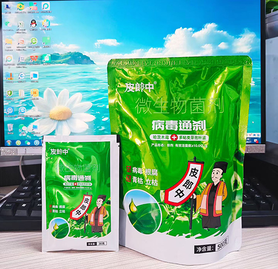 微信图片_20251107162651_104_400.jpg