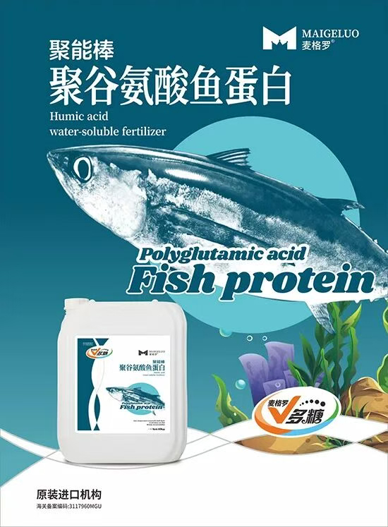 上海麦格罗进出口贸易有限公司3.jpg