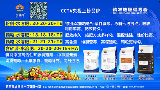 日照奥睿施进出口有限公司3.jpg