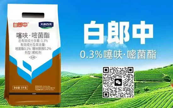 娴庡崡澶╅洦鐧剧妞嶇墿钀ュ吇鎶�鏈湁闄愬叕鍙?.jpg 娴庡崡澶╅洦鐧剧妞嶇墿钀ュ吇鎶�鏈湁闄愬叕鍙?.jpg