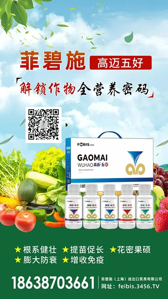 鑿茬ⅶ鏂斤紙涓婃捣锛夎繘鍑哄彛璐告槗鏈夐檺鍏徃2.jpg 鑿茬ⅶ鏂斤紙涓婃捣锛夎繘鍑哄彛璐告槗鏈夐檺鍏徃2.jpg